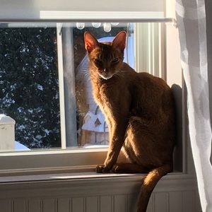 Meet your Posher, Annie